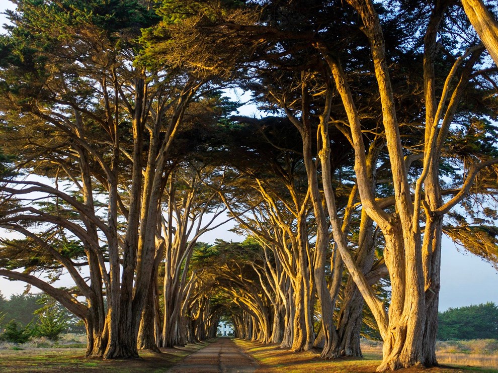 Point Reyes National Seashore