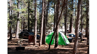 White Wolf Campsite with tent and vehicle