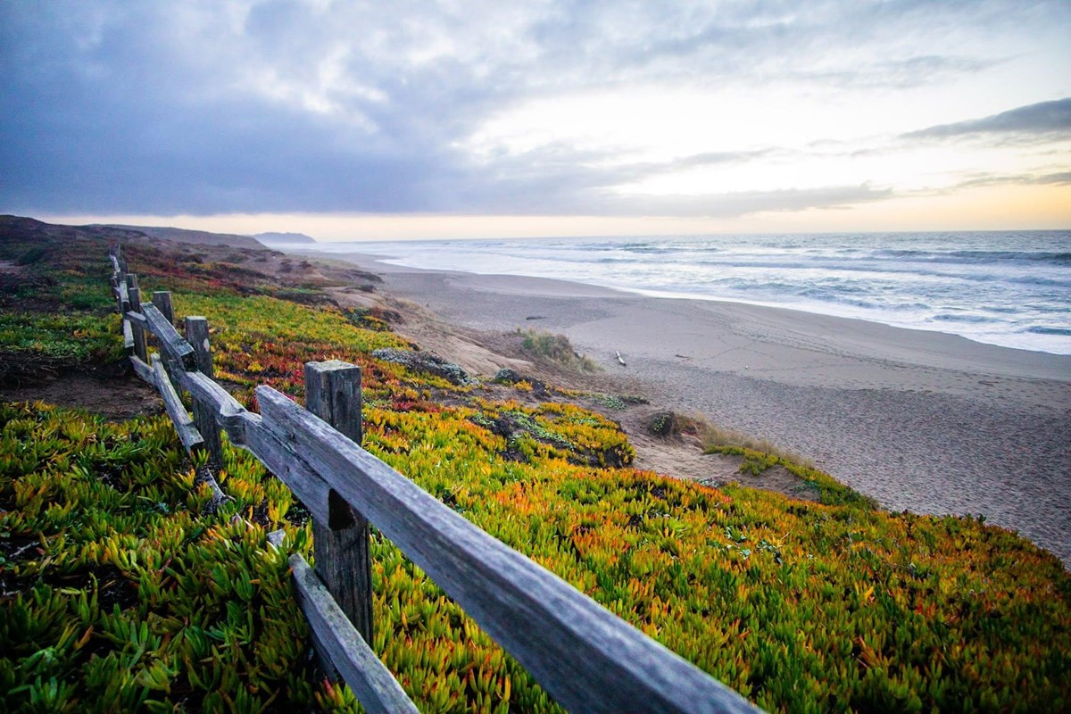 A split rail fence and vegetation along a long sandy ocean beach.