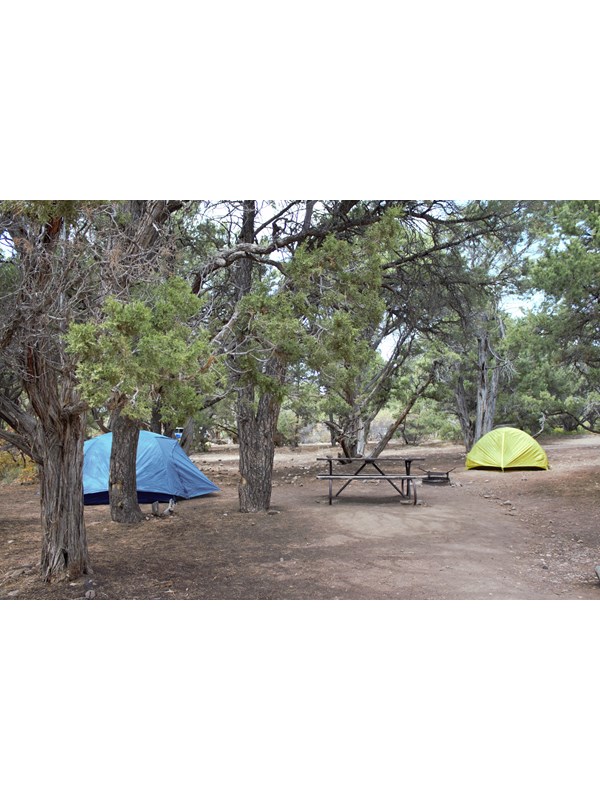 Two tents (yellow and blue) with a picnic table in forested campground area