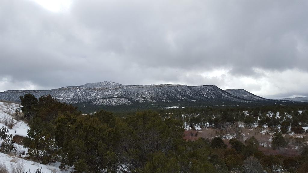 Snow covers a landscape with trees and mesas.