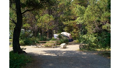 a tent, picnic table, and fire ring on gravel in clearing, RV in background