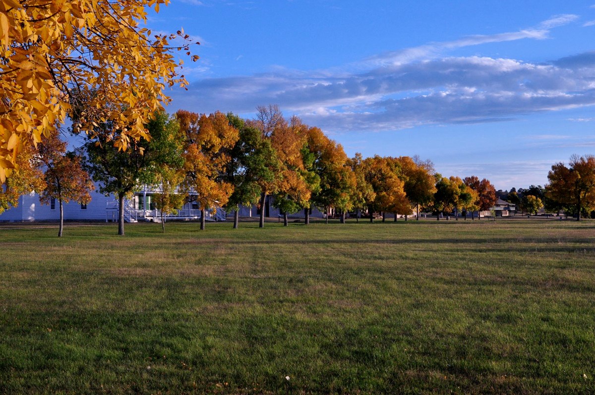 Ash and cottonwood trees show their fall colors next to an open grass field.