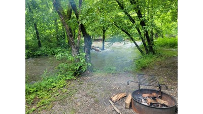 Beside a flowing creek, wood sits inside and next to a metal fire ring with a mobile grate afixed.