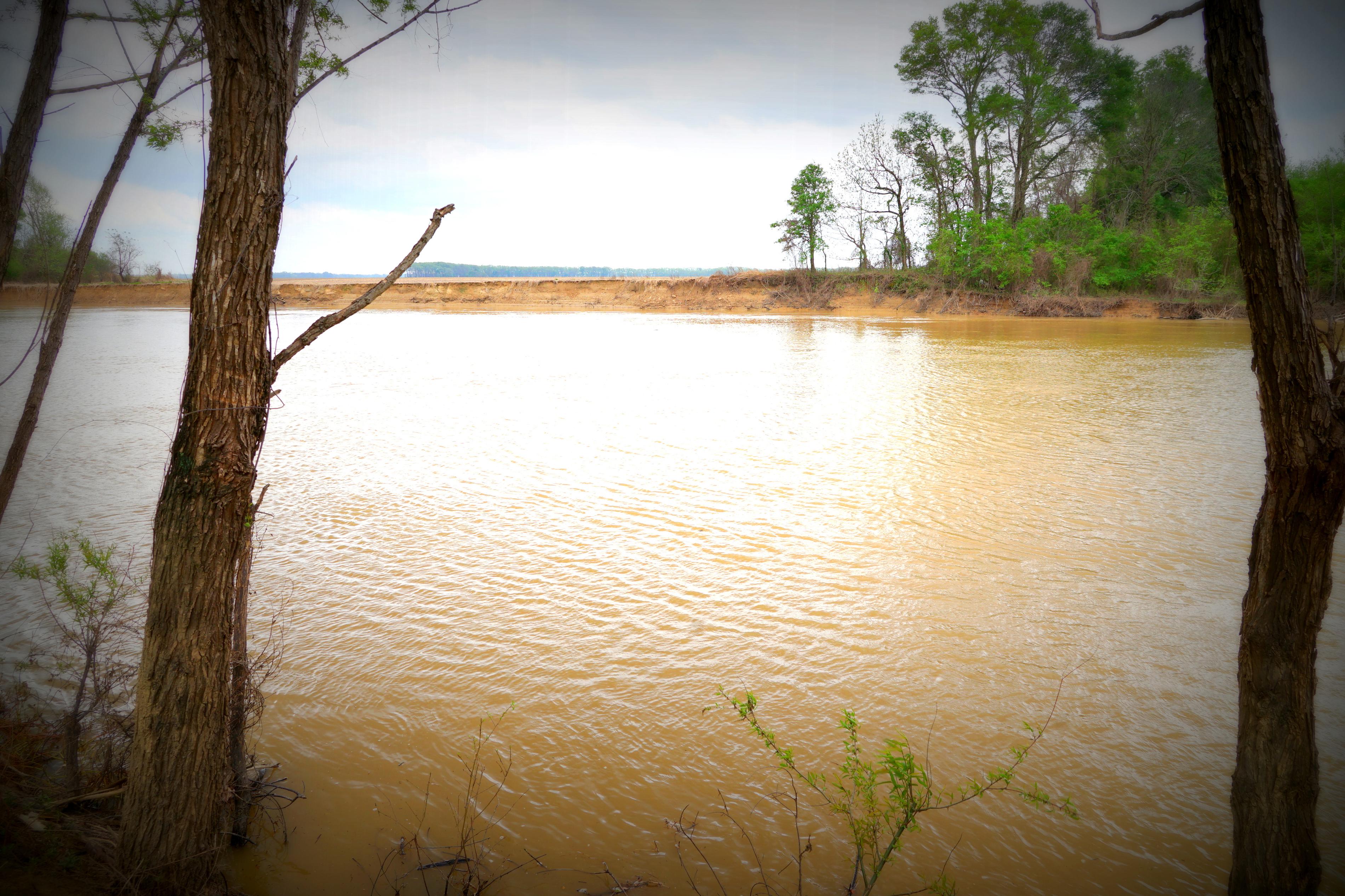 View of a muddy river from between two trees.