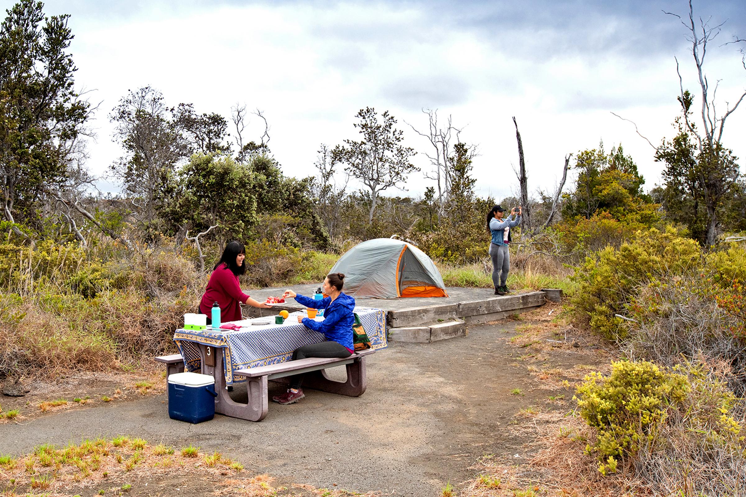 Visitors at a campsite
