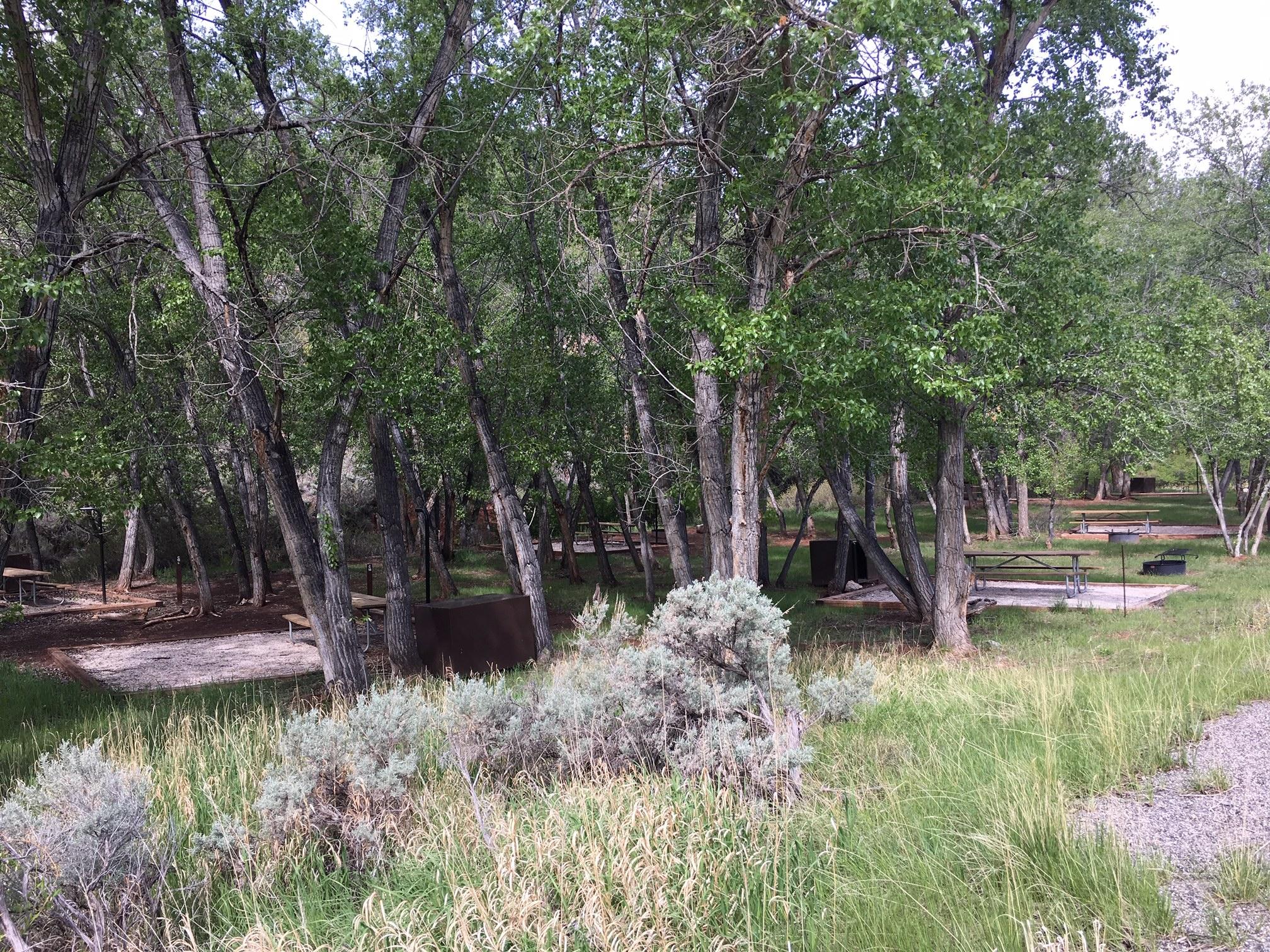 Trail creek campground cheap