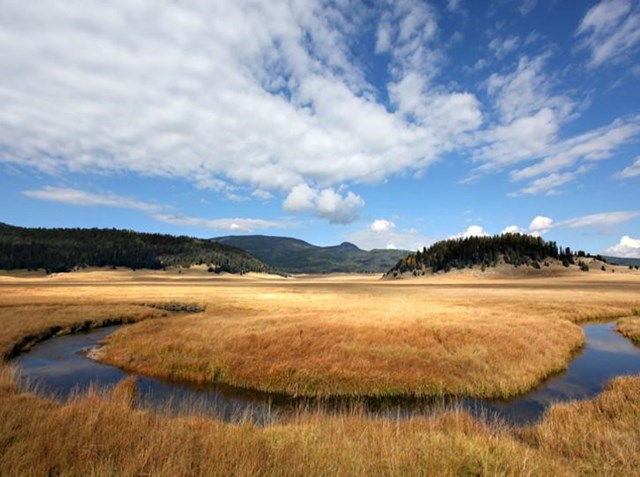 Valles Caldera National Preserve
