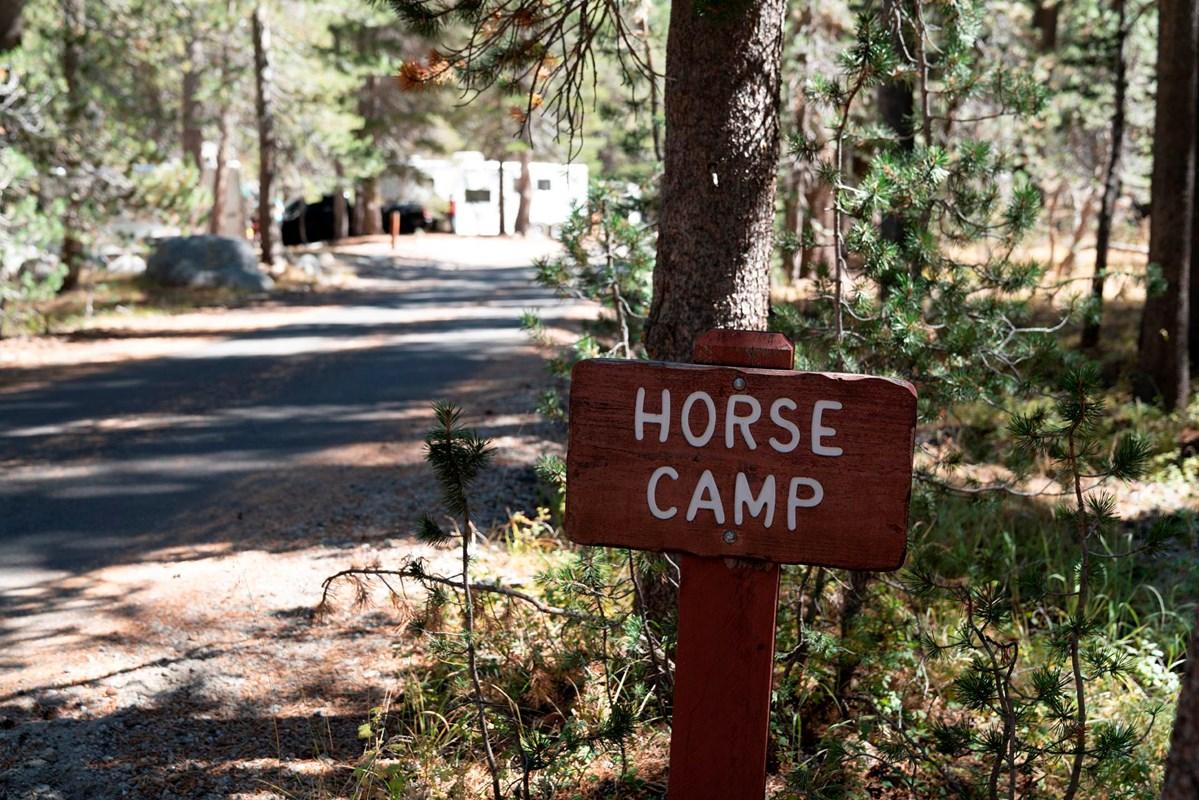 Wood sign reading "horse camp" next to a road through a wooded area