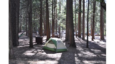 Tent in campsite in Upper Pines
