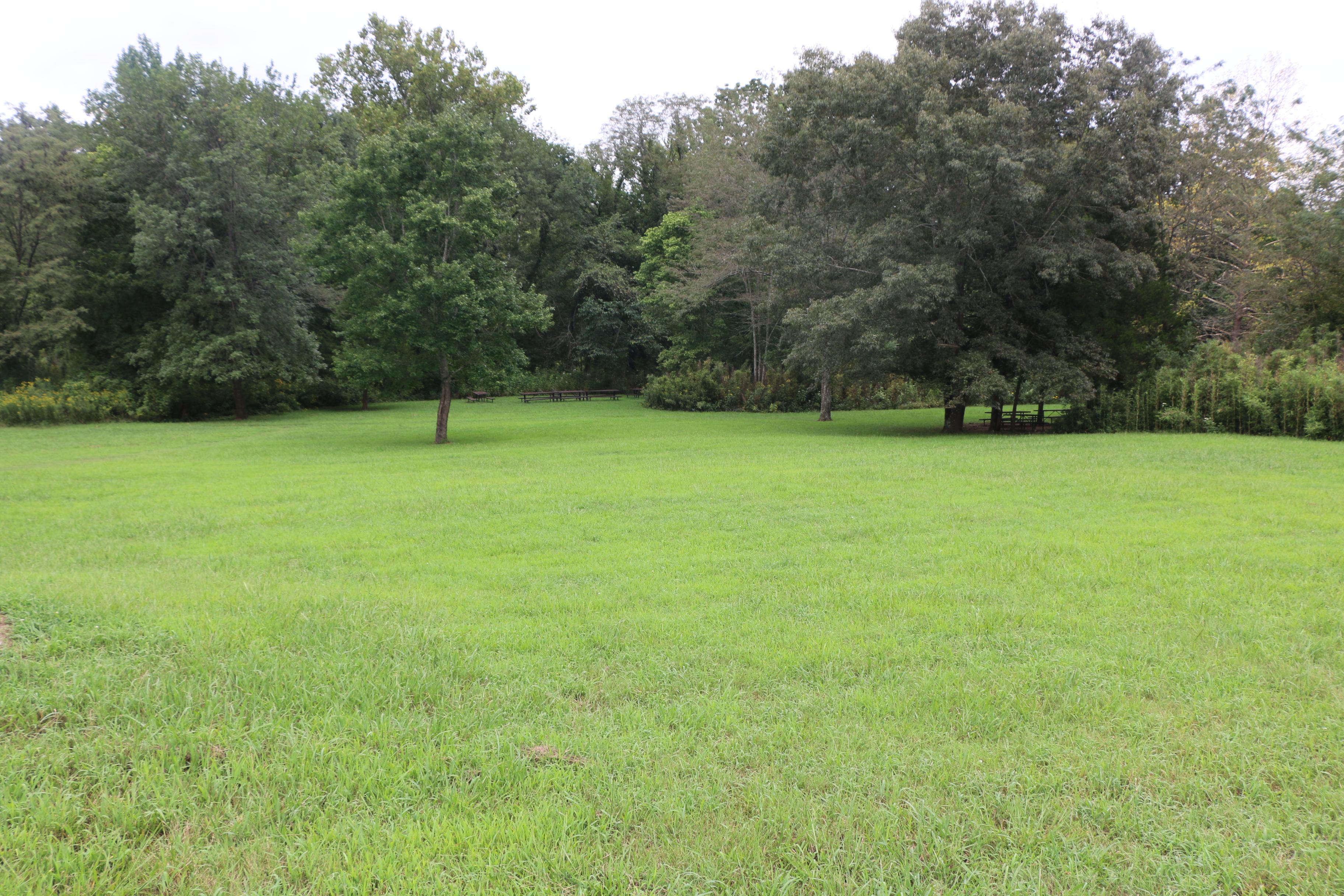 A large grassy field with two group sites for tent camping with picnic tables and shade trees.