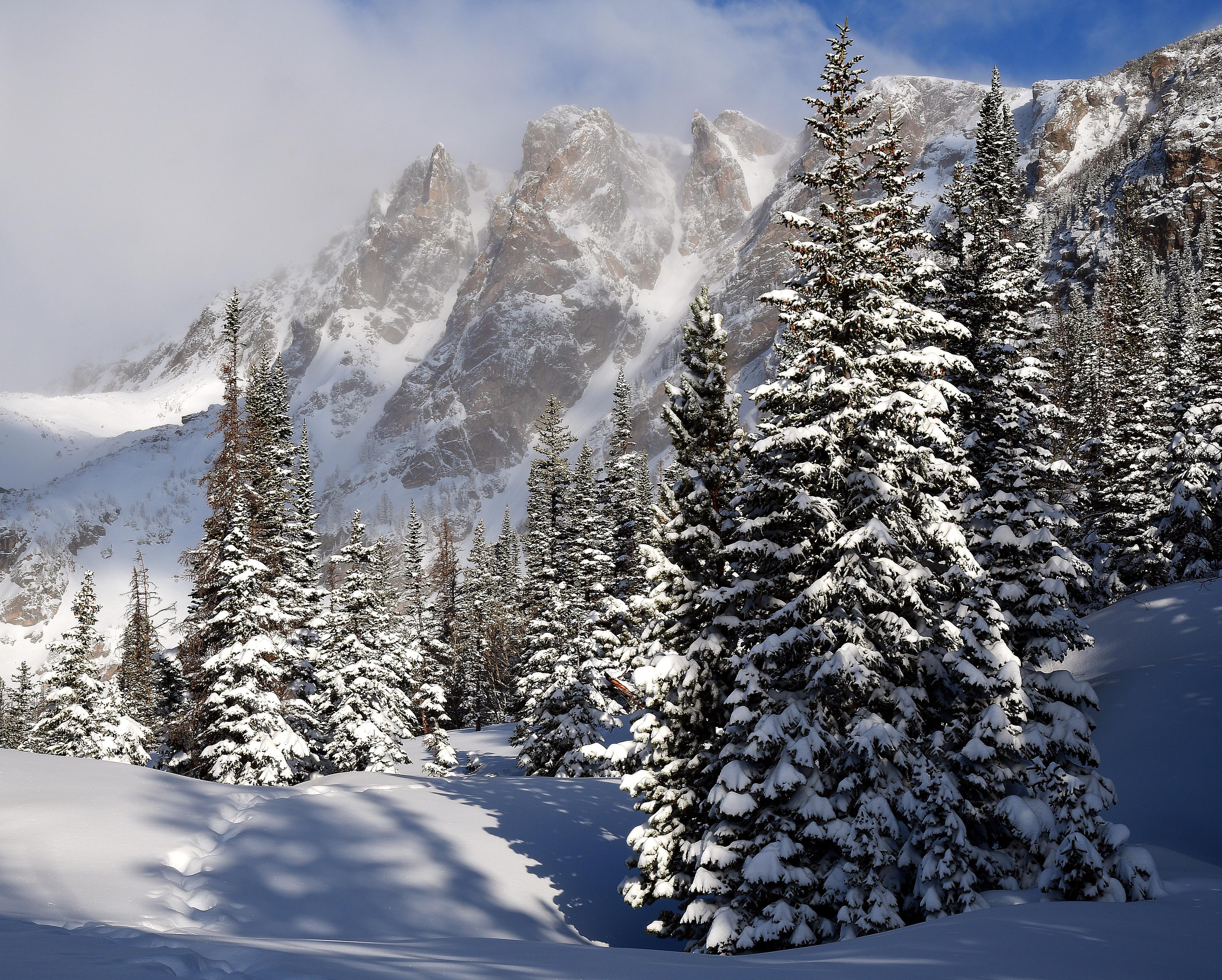 The ground is covered with fresh snow