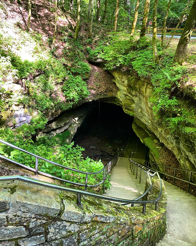 A long staircase travels down a slope into the dark cave opening. 