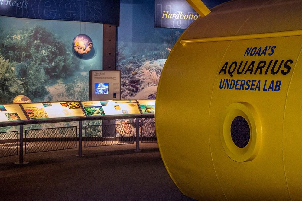 A Colorful model of a coral reef, a large yellow model submersible with a porthole in the foreground