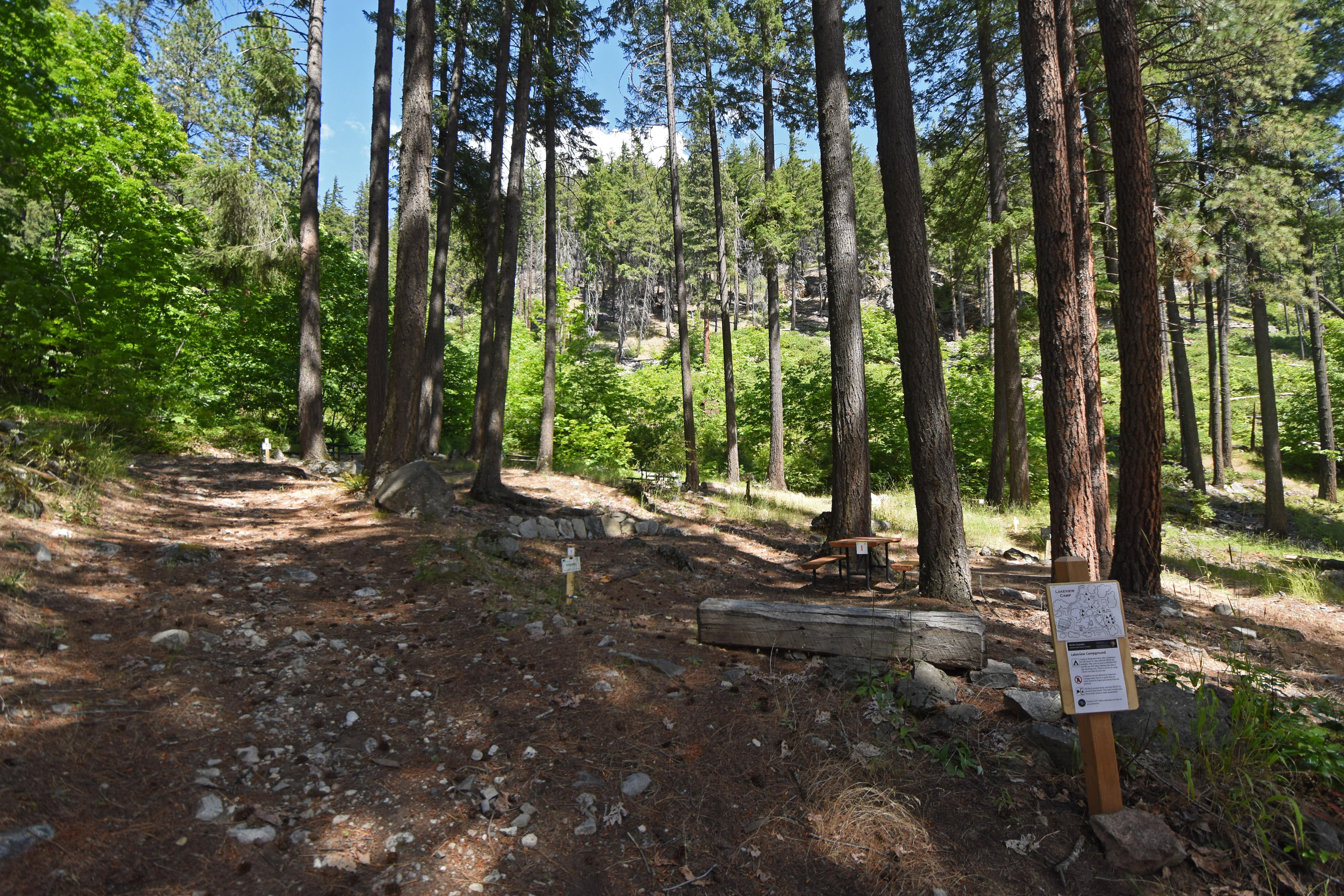 An open sunny forest surrounds small campsites with picnic tables