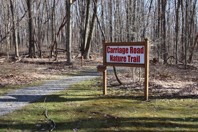 The Carriage Road Nature Trail can be accessed from the picnic area or near the South Abutment. Trail sign