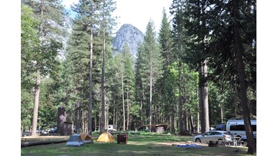 Campsites with tents and cars in Lower Pines
