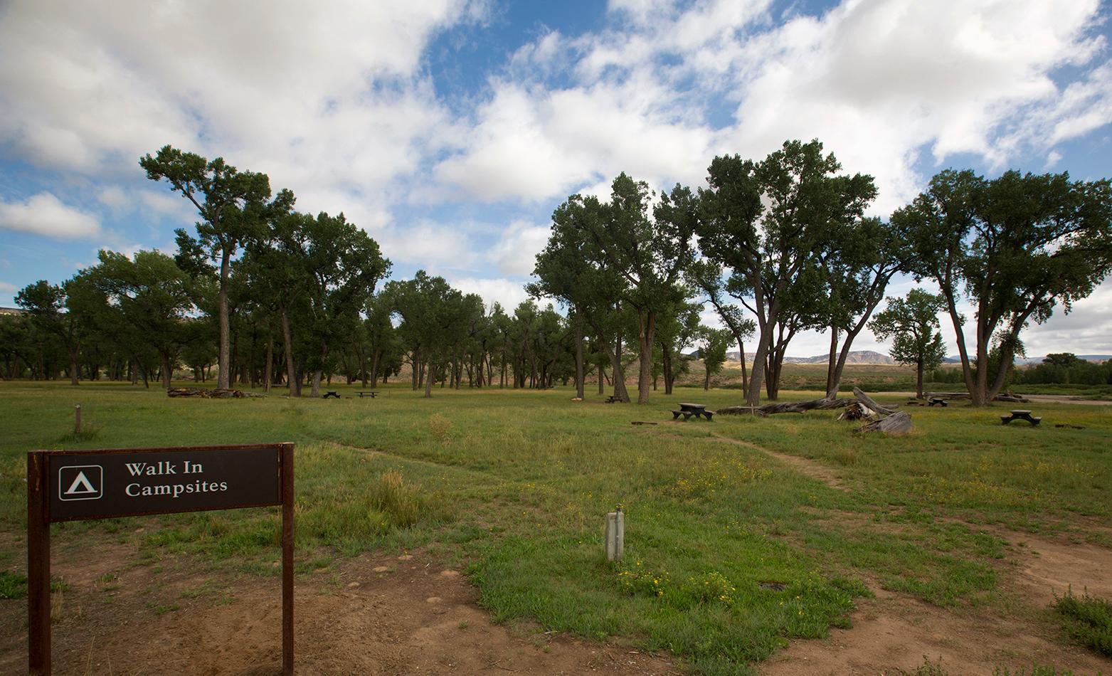 Sign with Walk In Campsites in front of grassy field surrounded by tall trees