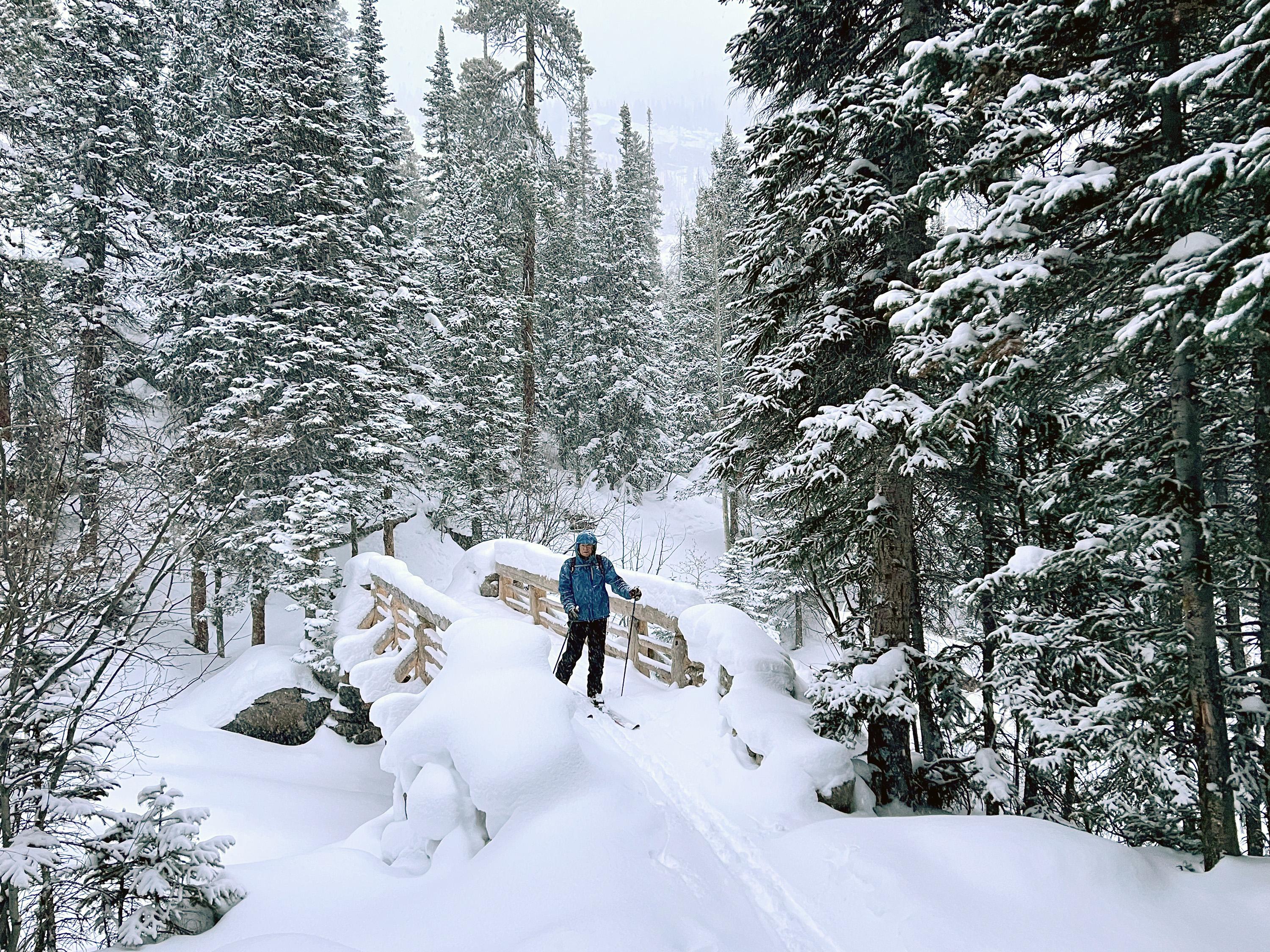 A person is cross-country skiing on a trail in the park