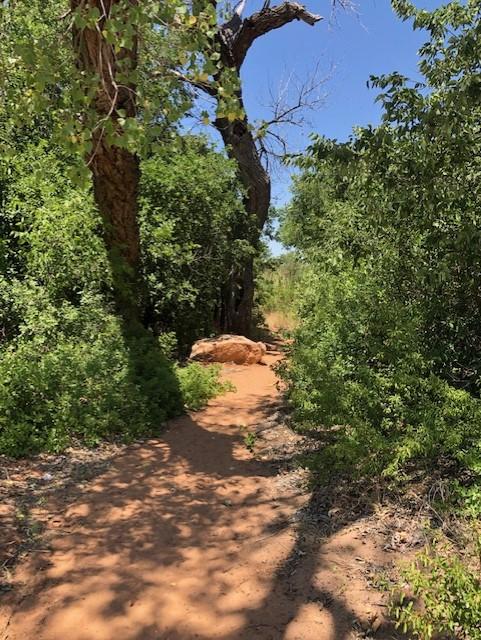 Mullinaw trailhead with green cottonwoods and blue skies in the summer.