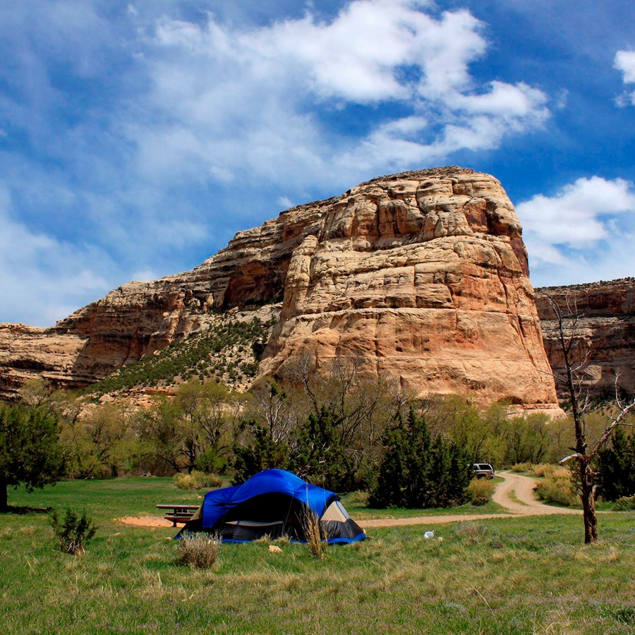 Echo Park Campground - Dinosaur National Monument (U.S. National Park  Service)