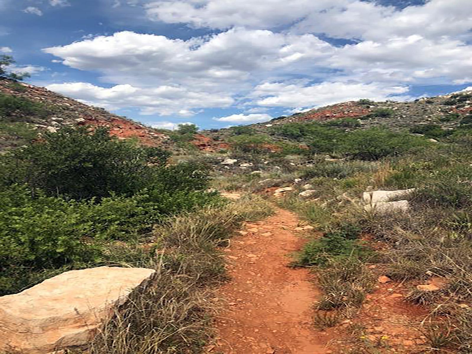 Harbor Bay Trail with green mesas, blue sky, and white clouds.