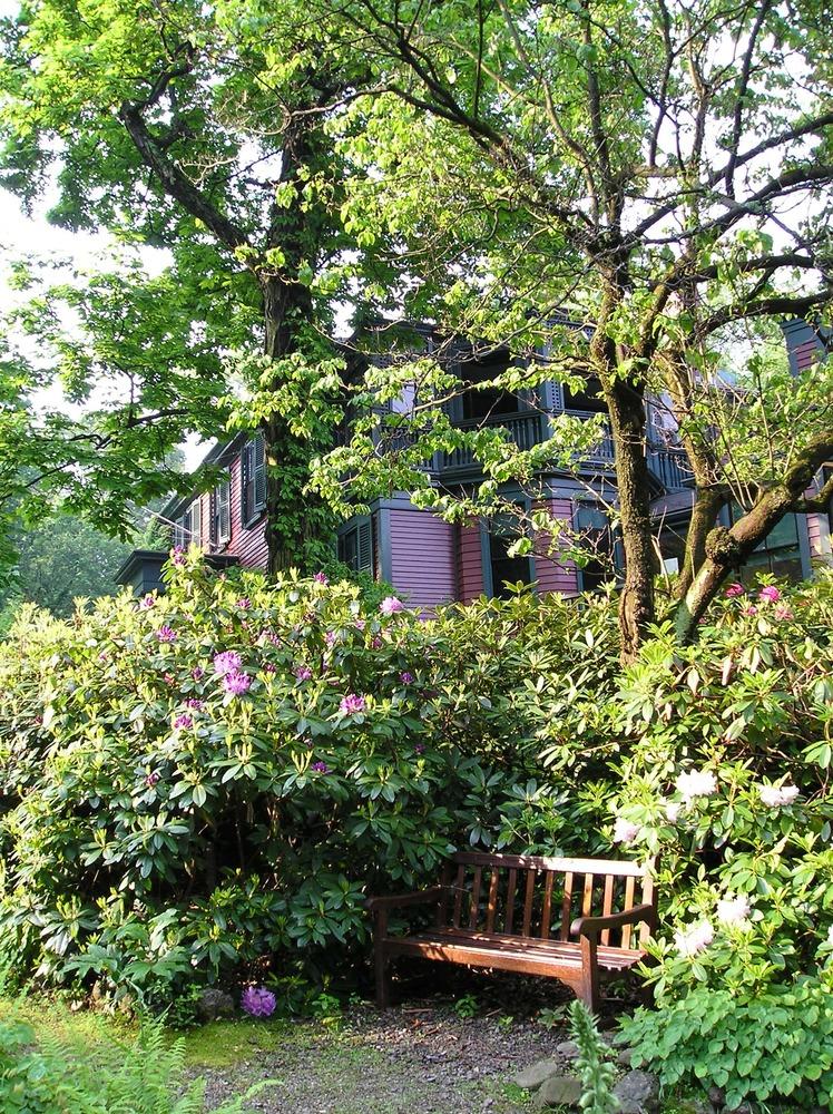A shaded bench and plants in a sunken garden surrounded by bushes