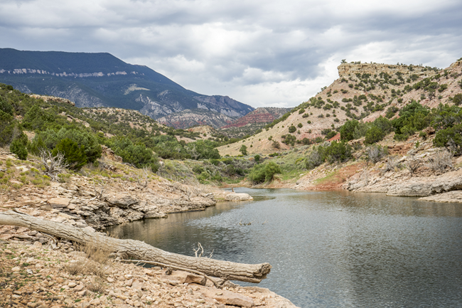 Looking into medicine creek from Bighorn Lake