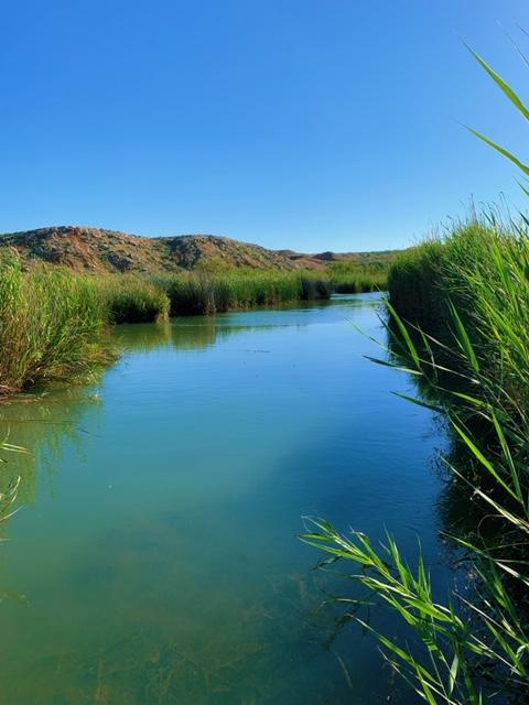 The Spring Canyon Canal with cattails on the shoreline.  The water is a deep turquiose.