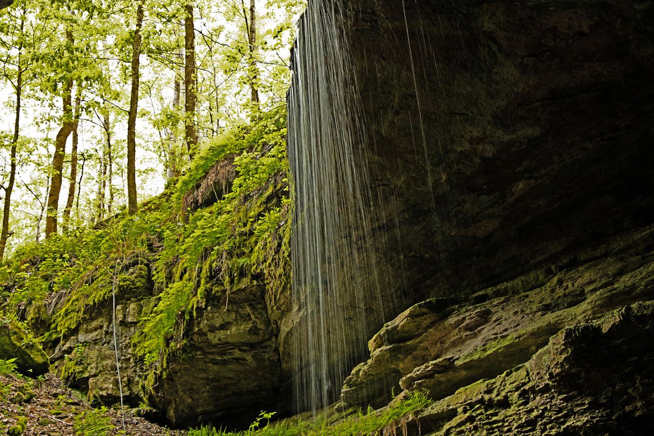 Mammoth Cave National Park