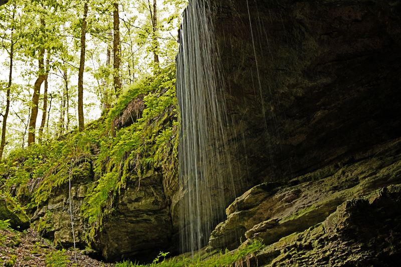 Kentucky landscape