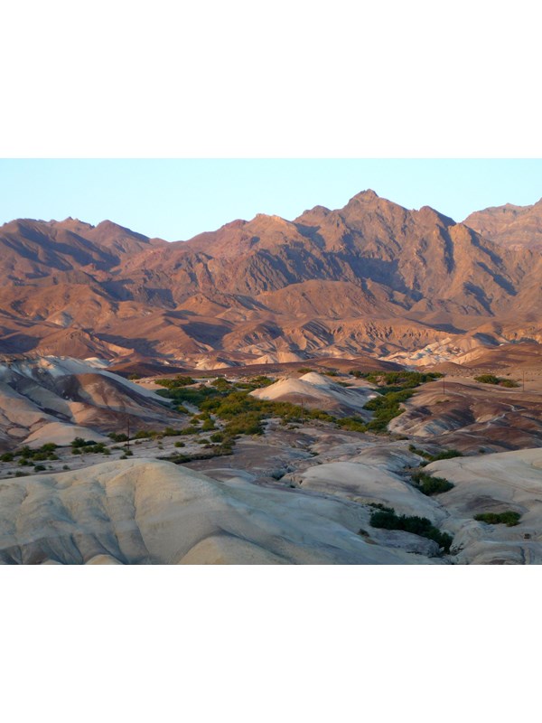 overlooking a valley with a few green trees surrounded by mountains