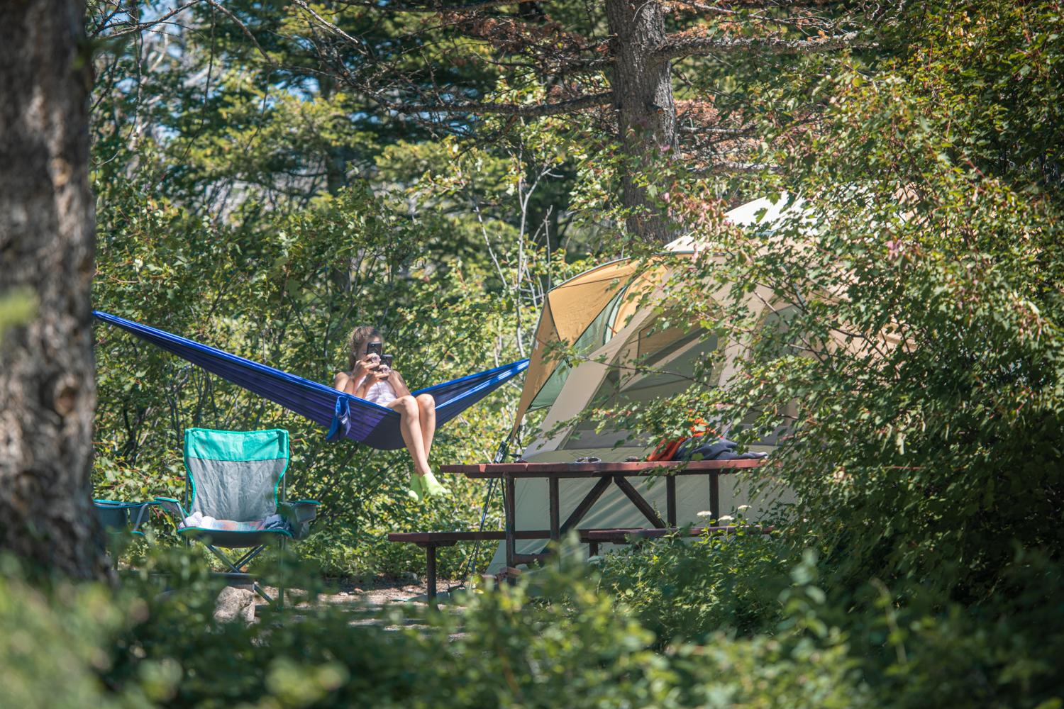 A person sits at a campsite in the Rising Sun Campground, surrounded by dense vegetation.