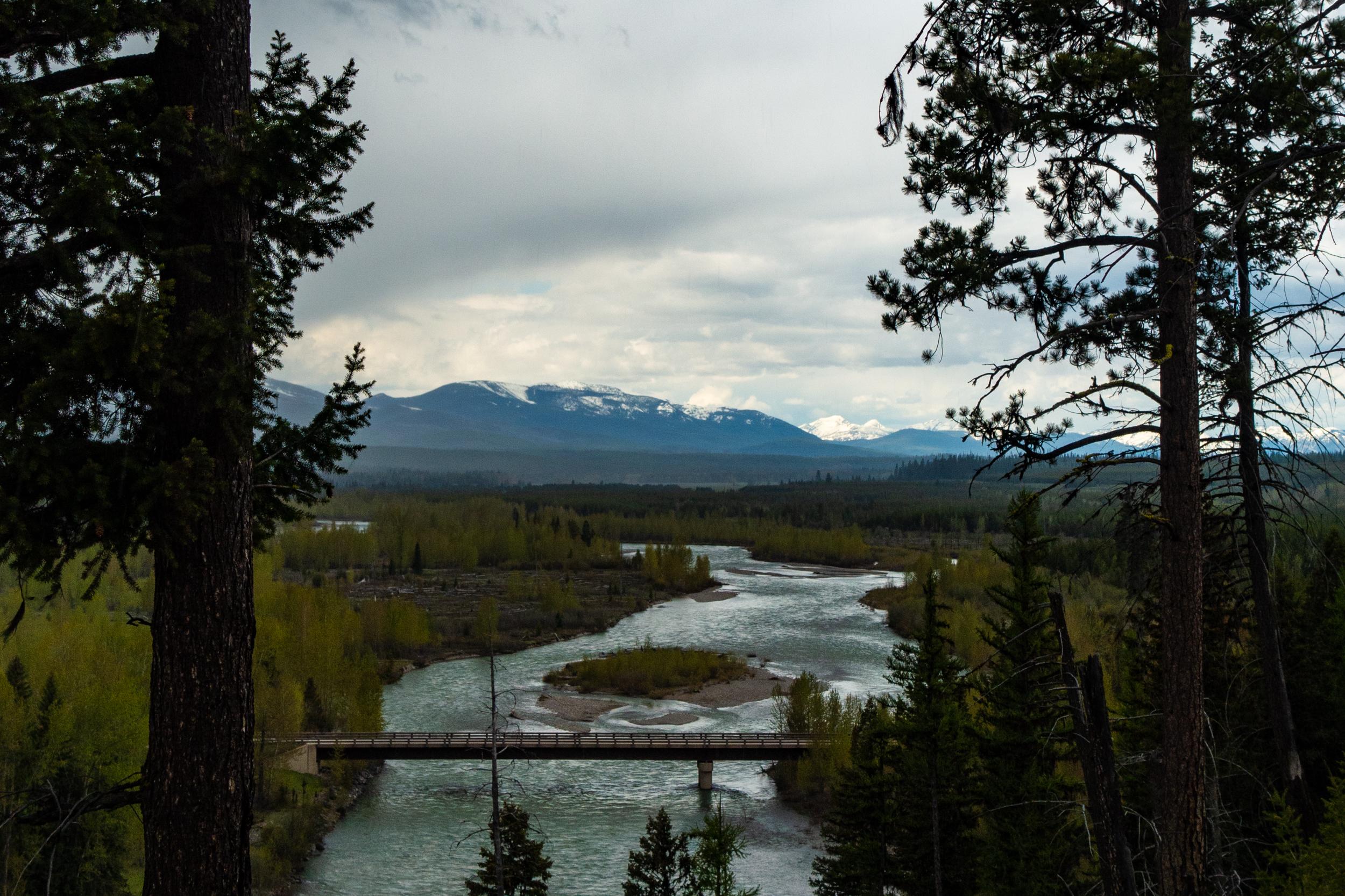 A bridge crosses a river with trees framing the image and distant snowy mountains in the background.