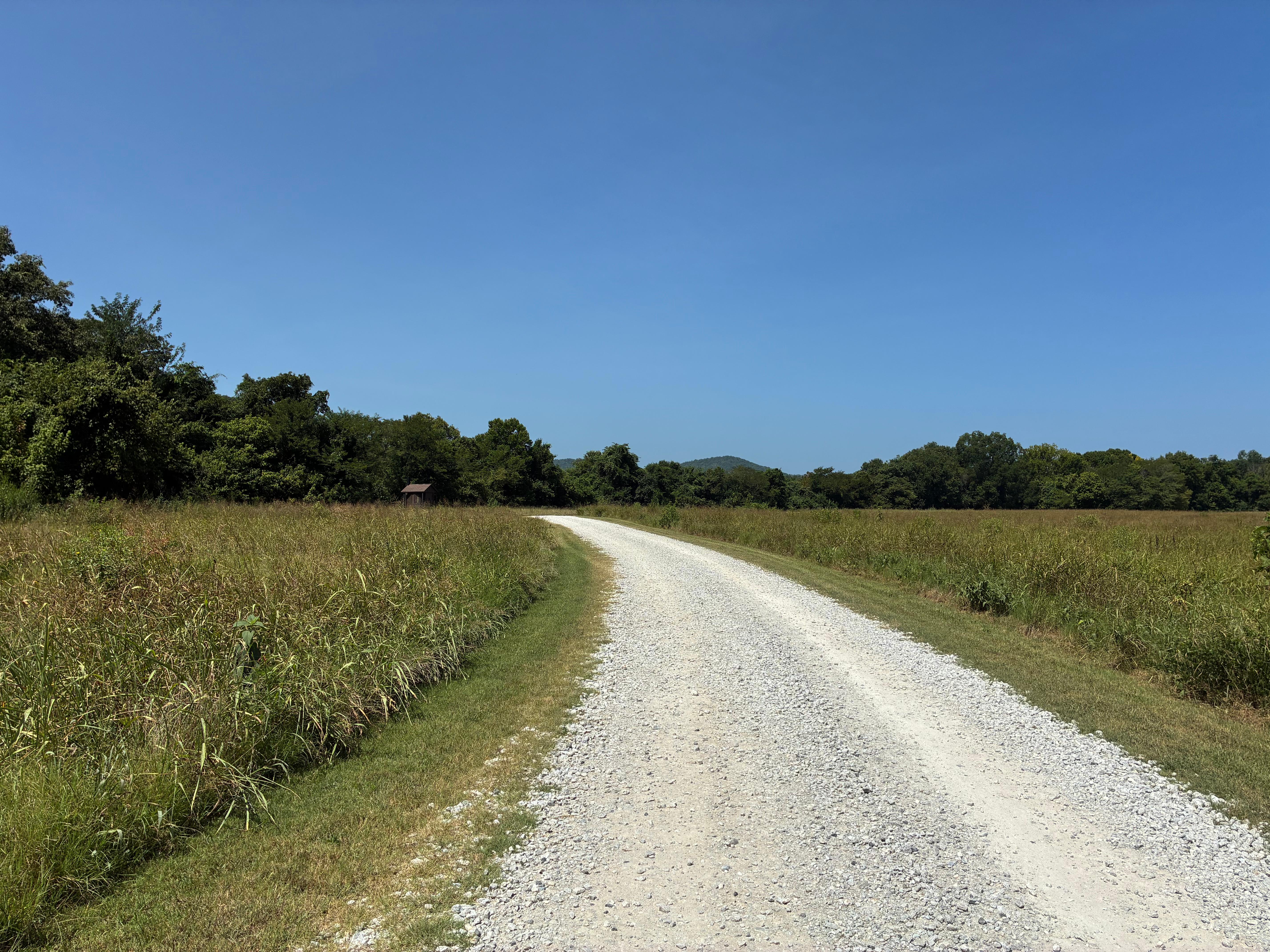 Road coming into Woolum Campground.