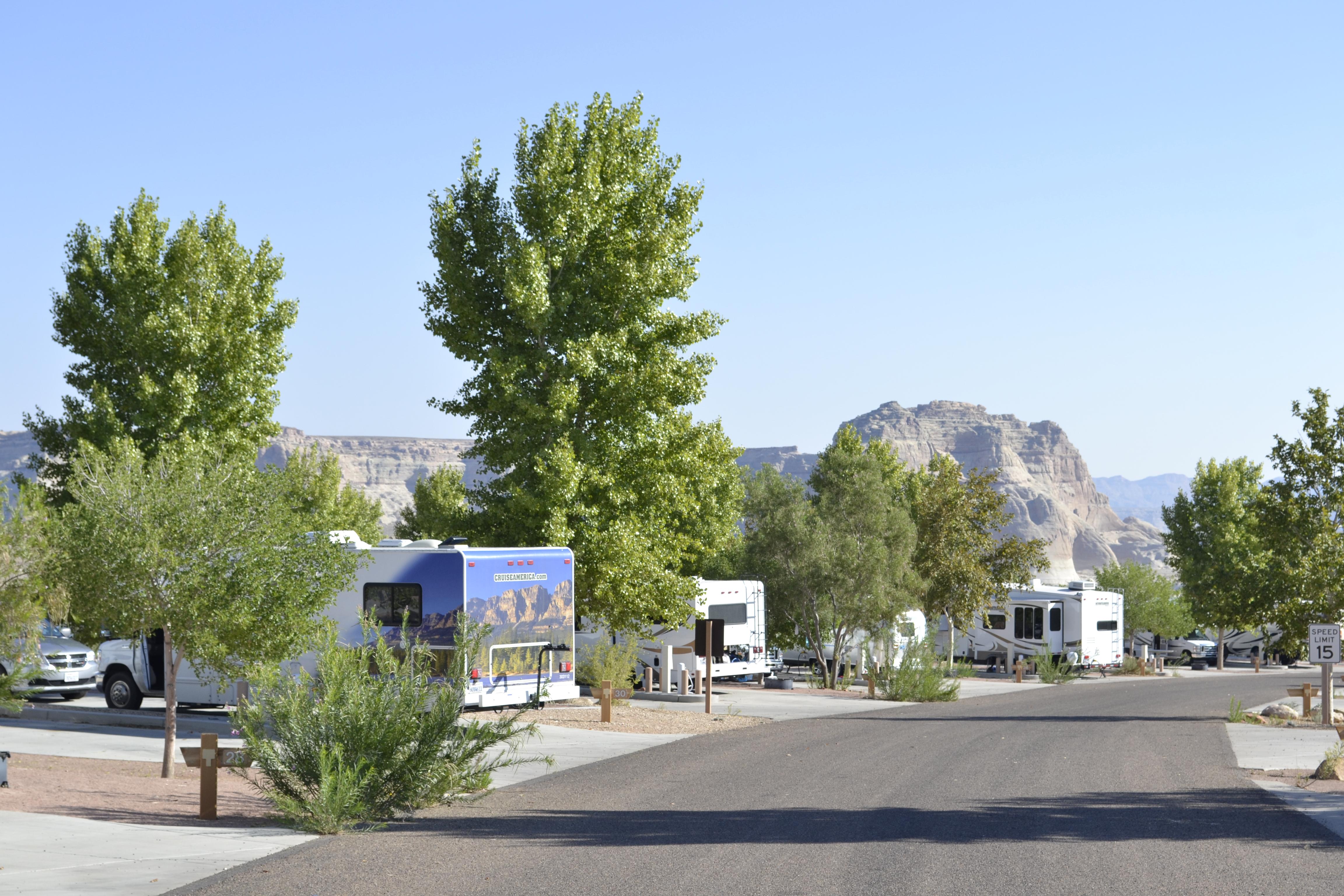 Row of multicolored recreational vehicles separated by trees and pavement.