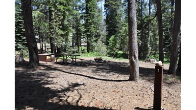 Empty campsite, site 1