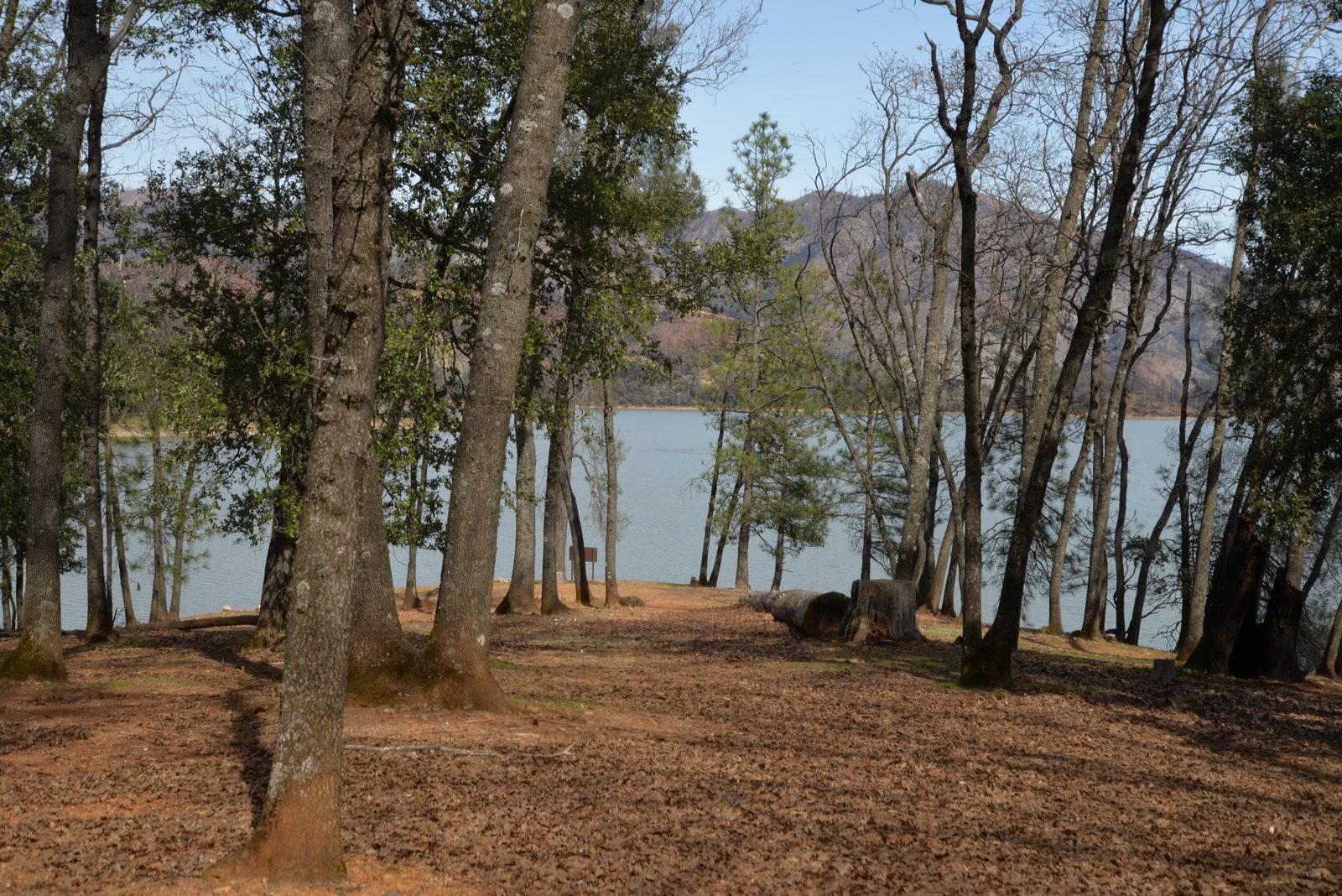 Dry Creek Group Campground on the southern shore of Whiskeytown Lake, the park's only group campground