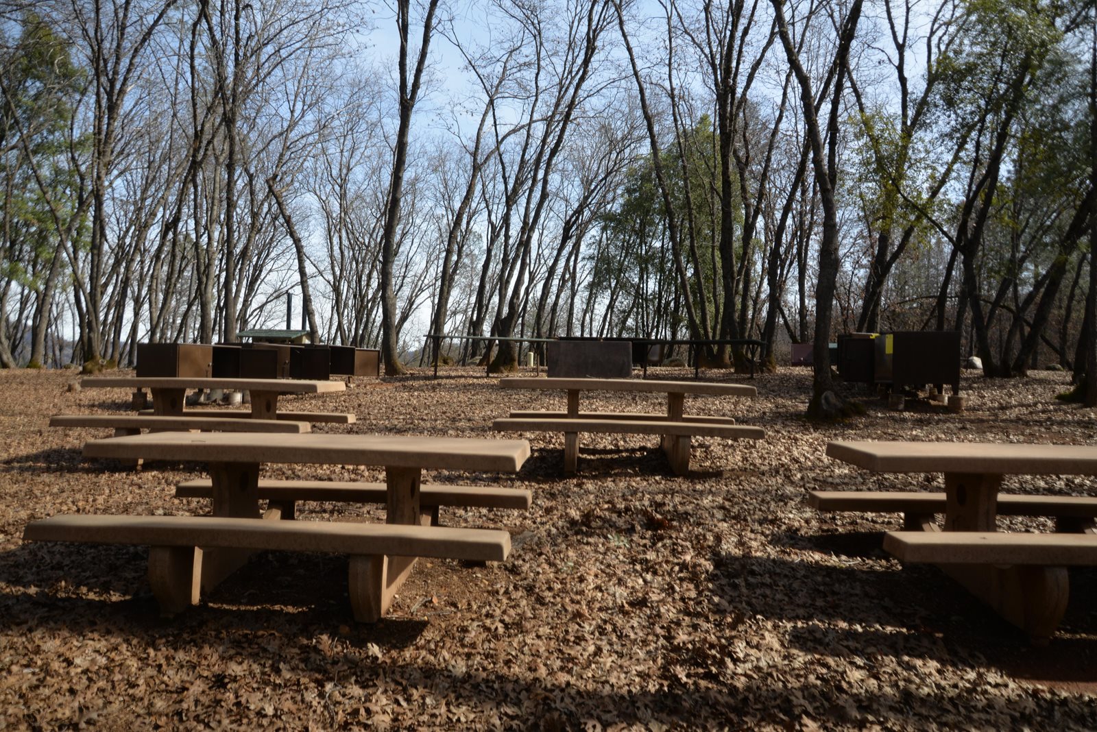 Group site 1 at Dry Creek Group Campground, Whiskeytown, which takes 20 to 50 people