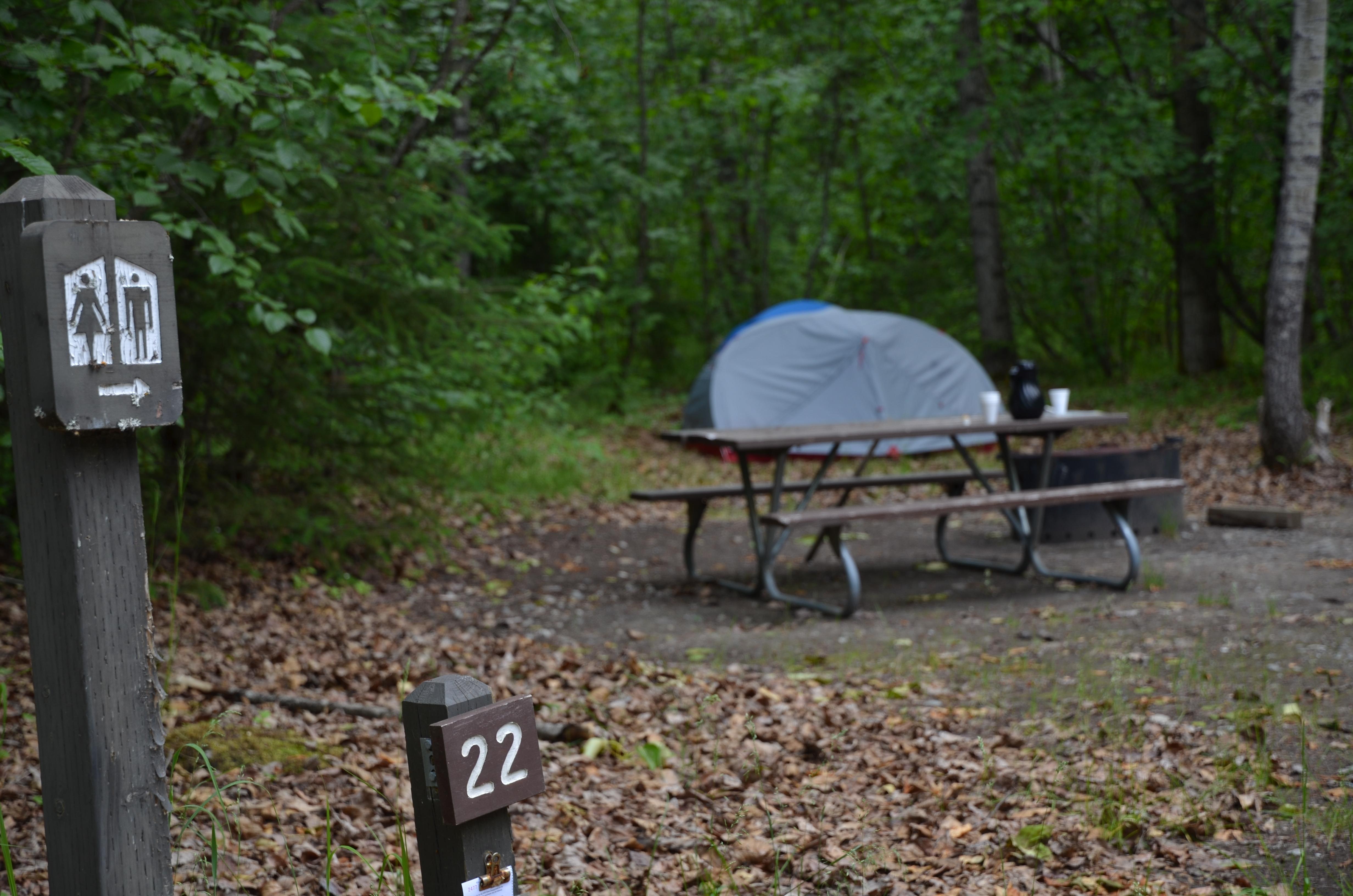 Campsite with a tent, picnic table, and fire ring
