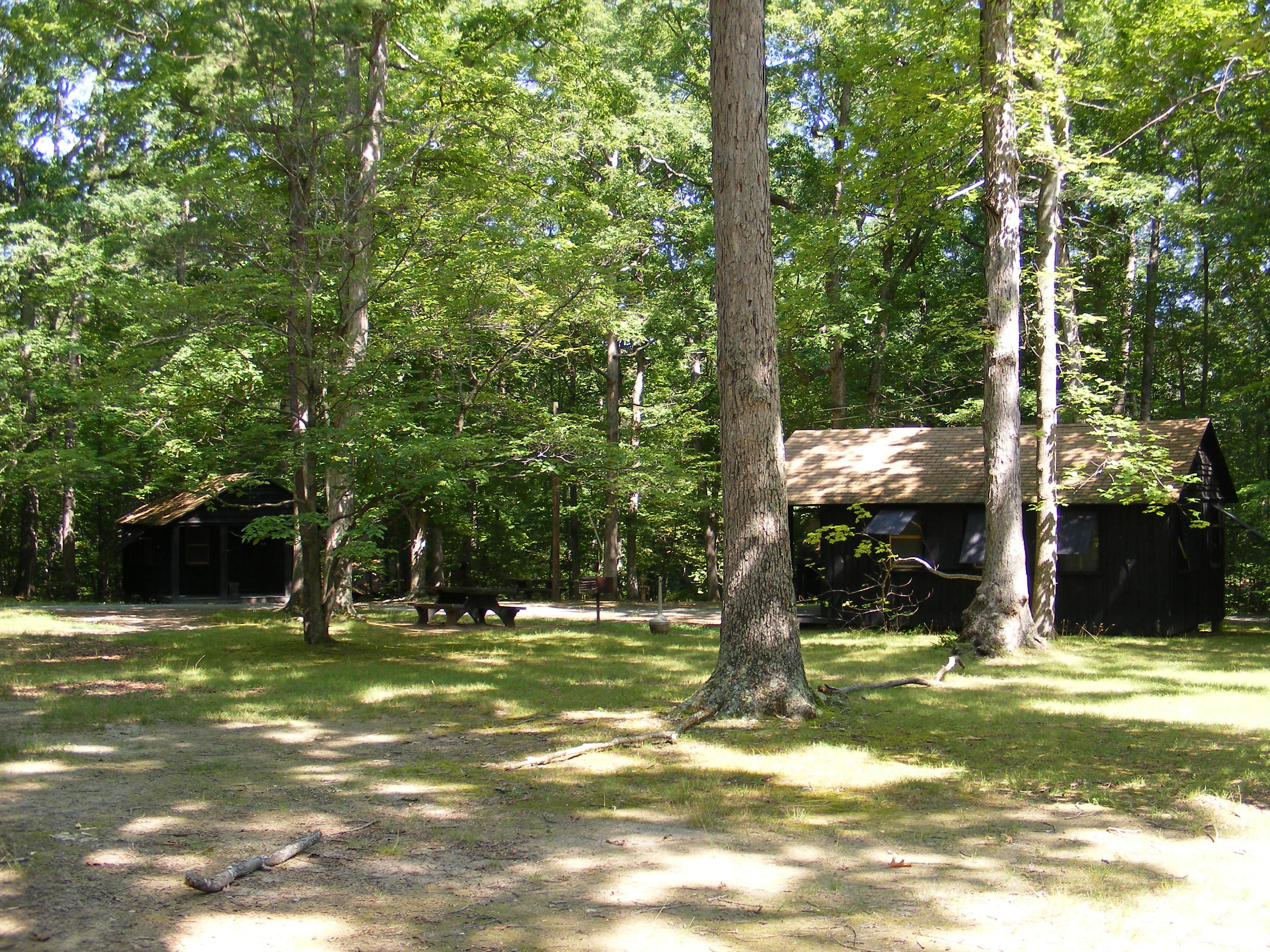 Wooden cabins with porches and picnic tables shaded by a green forest