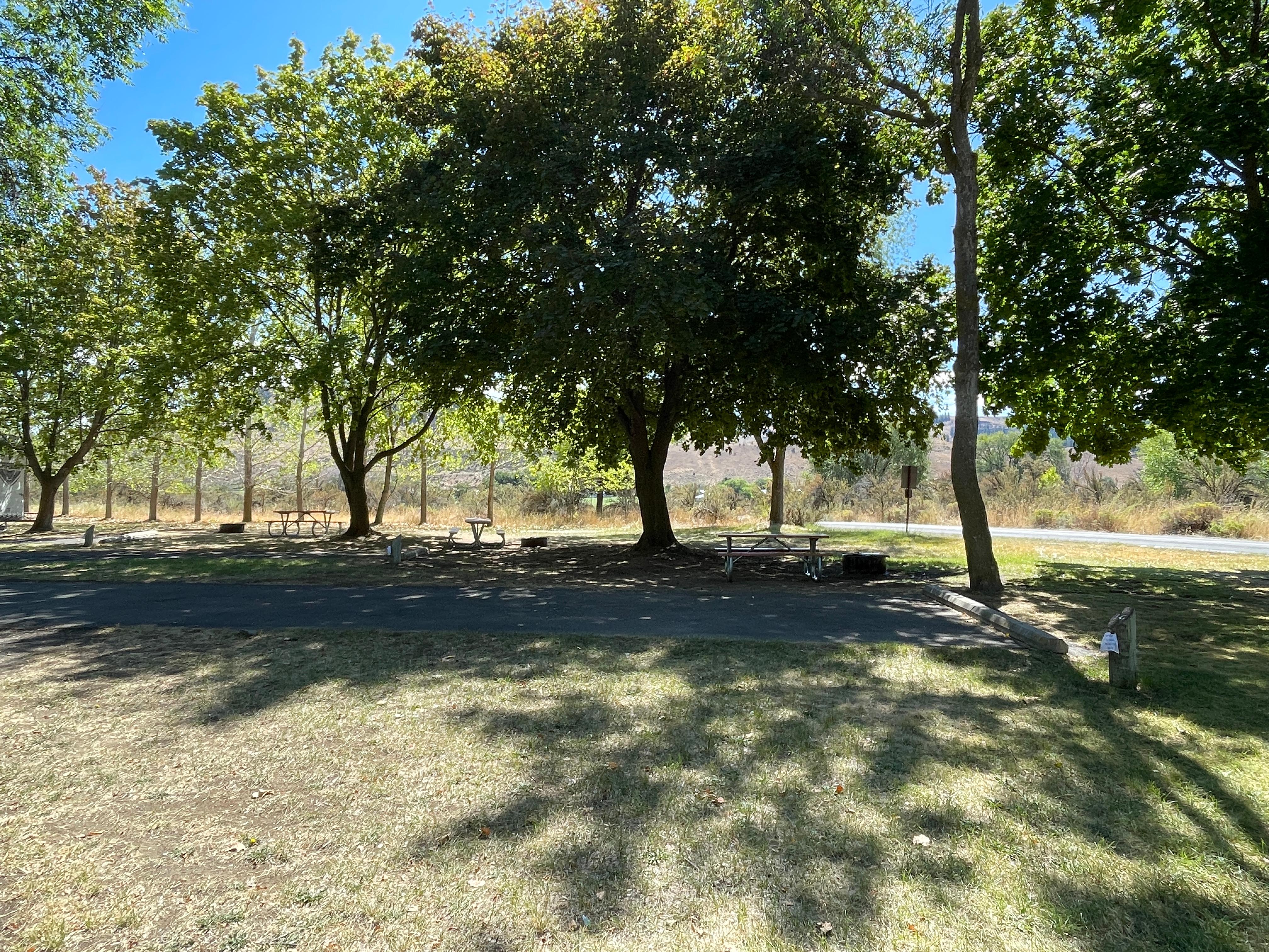 Green trees create shade on a paved campsite with scattered picnic benches