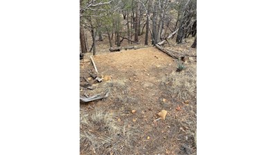 A hardened surface for a tent is located on a slope with trees behind it