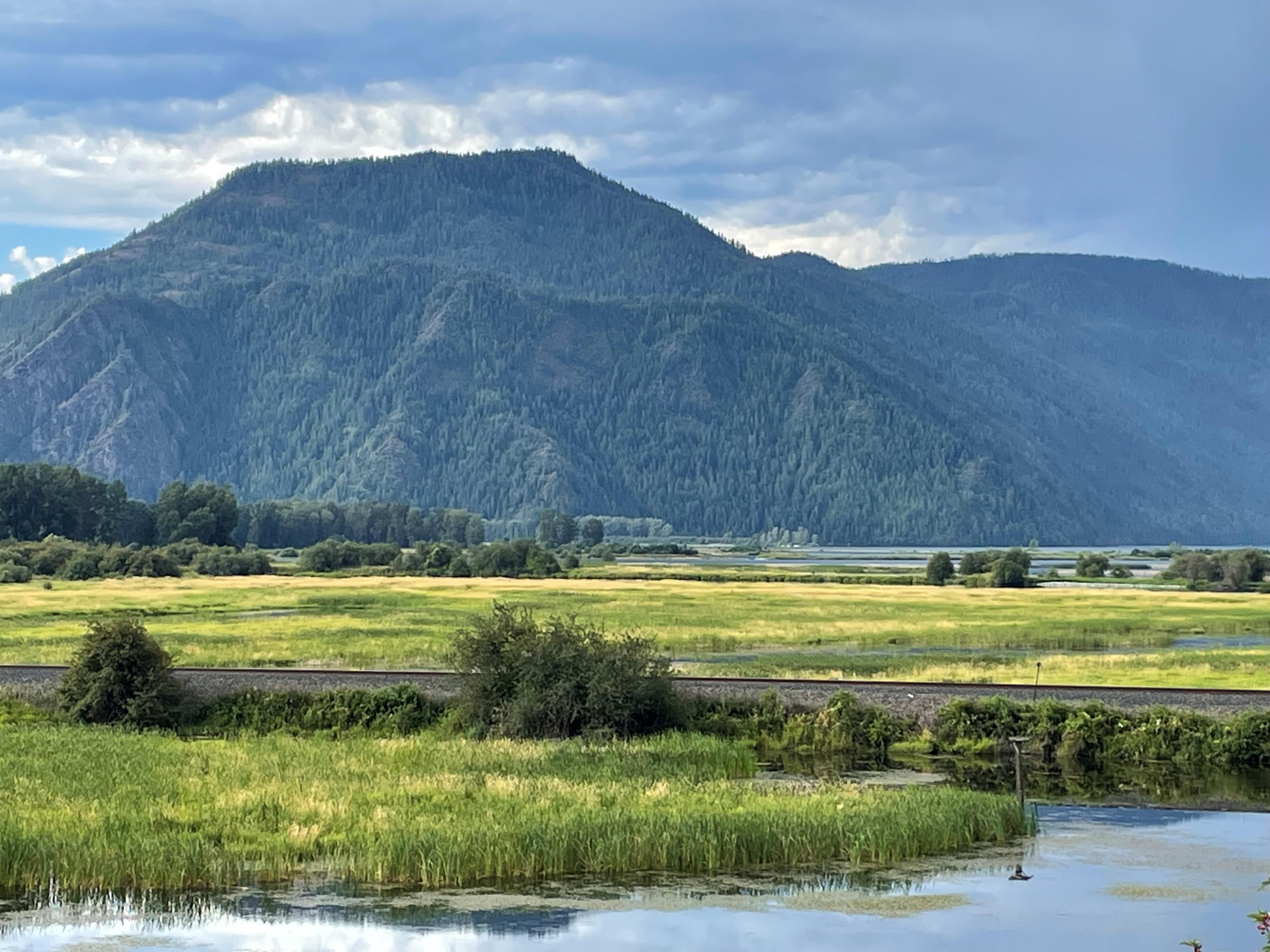 Green Monarch Ridge by Lake Pend Oreille ID