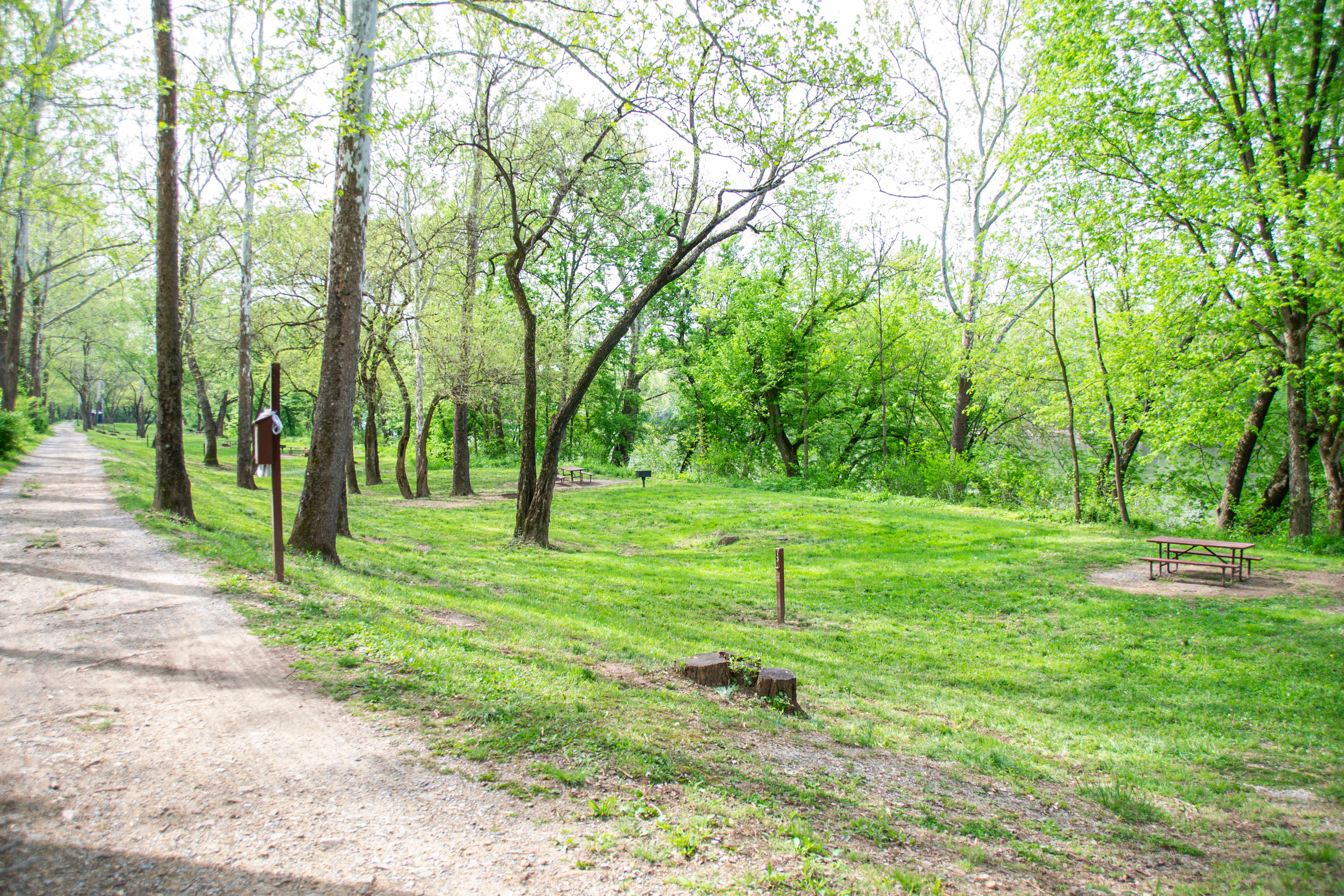 Grass covered campsite with a picknick table.