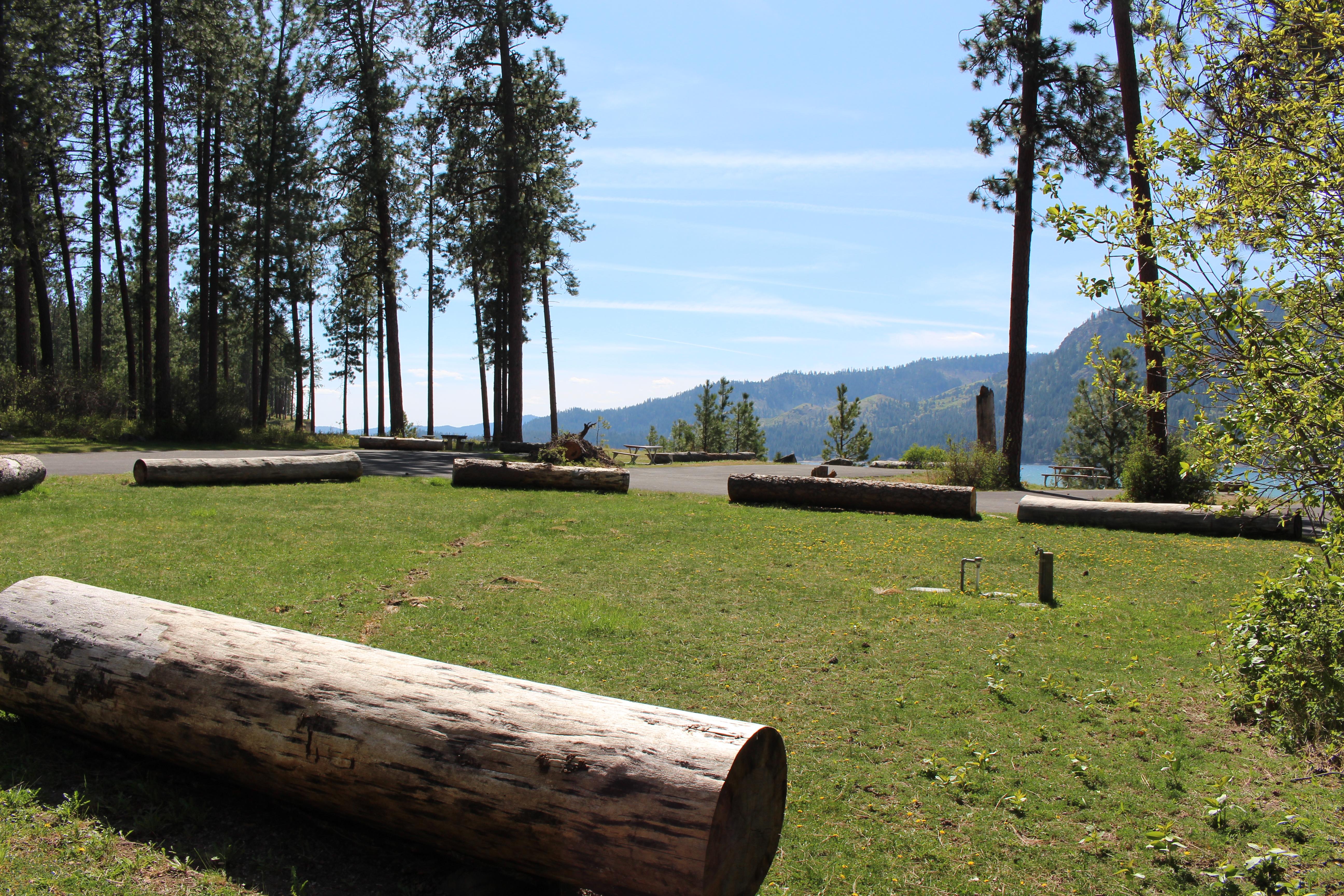 Log parking bumpers are lined up along the grassy edge of Hunters Group Site with tall pines beyond.