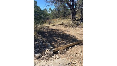 A square hardened surface in a forested area