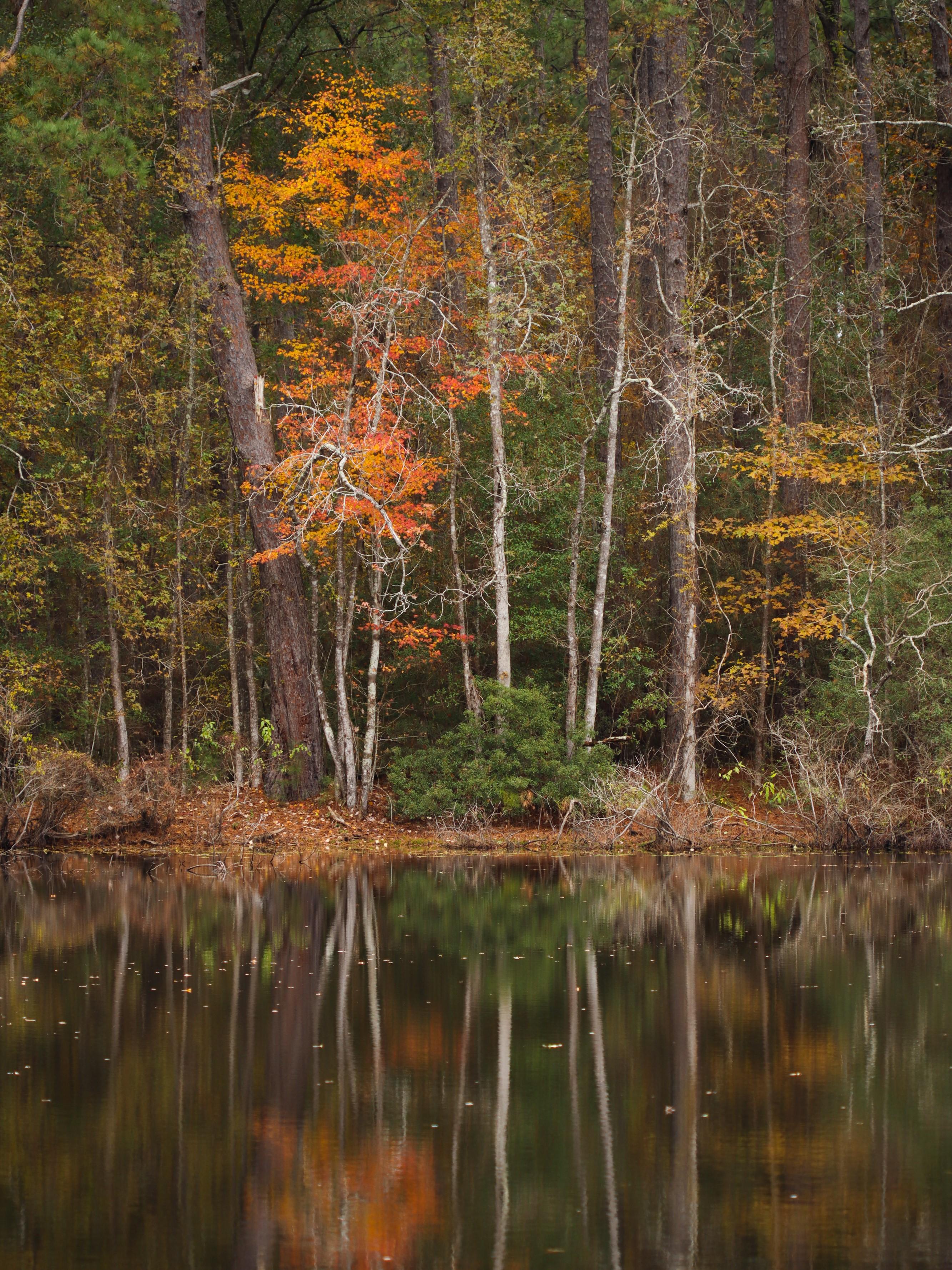 A calm pond reflecting red, green, and yellow foliage of trees along its shore.