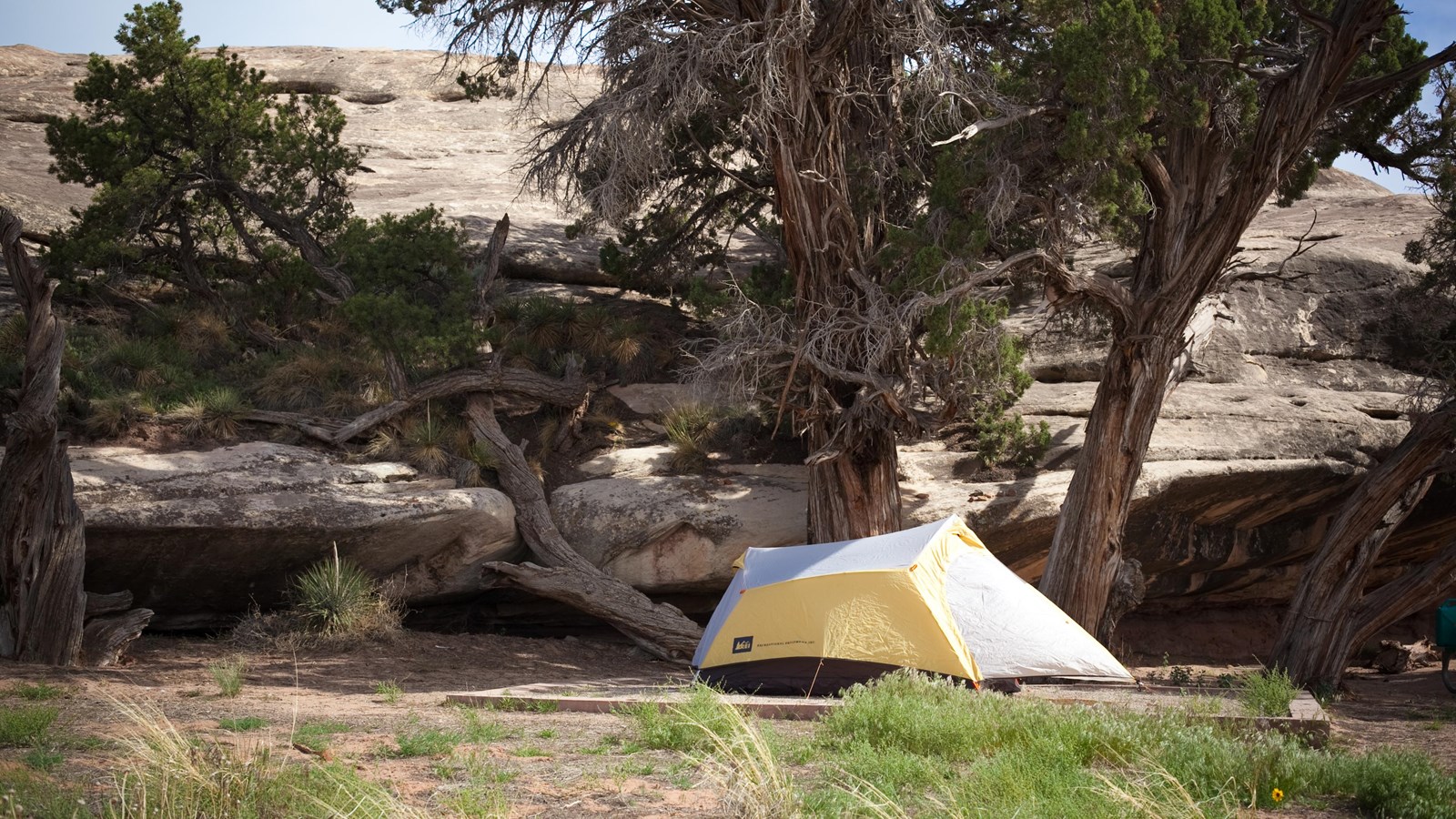 The Needles Campground Canyonlands National Park National
