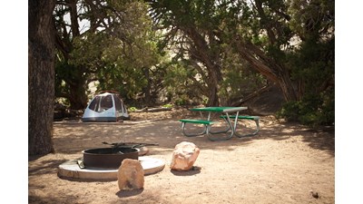 a campsite shaded by trees